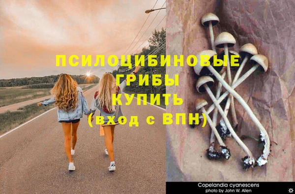 2c-b Абдулино