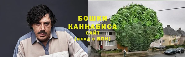 индика Инта
