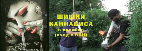 тгк Абаза
