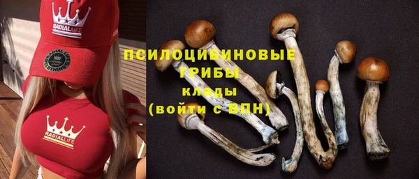 тгк Абаза