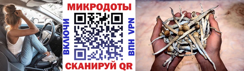 Псилоцибиновые грибы прущие грибы  купить наркоту  Братск 